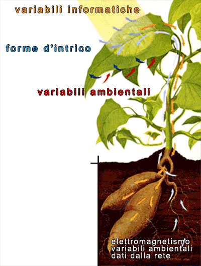 variabili