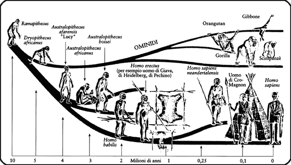 cronologia